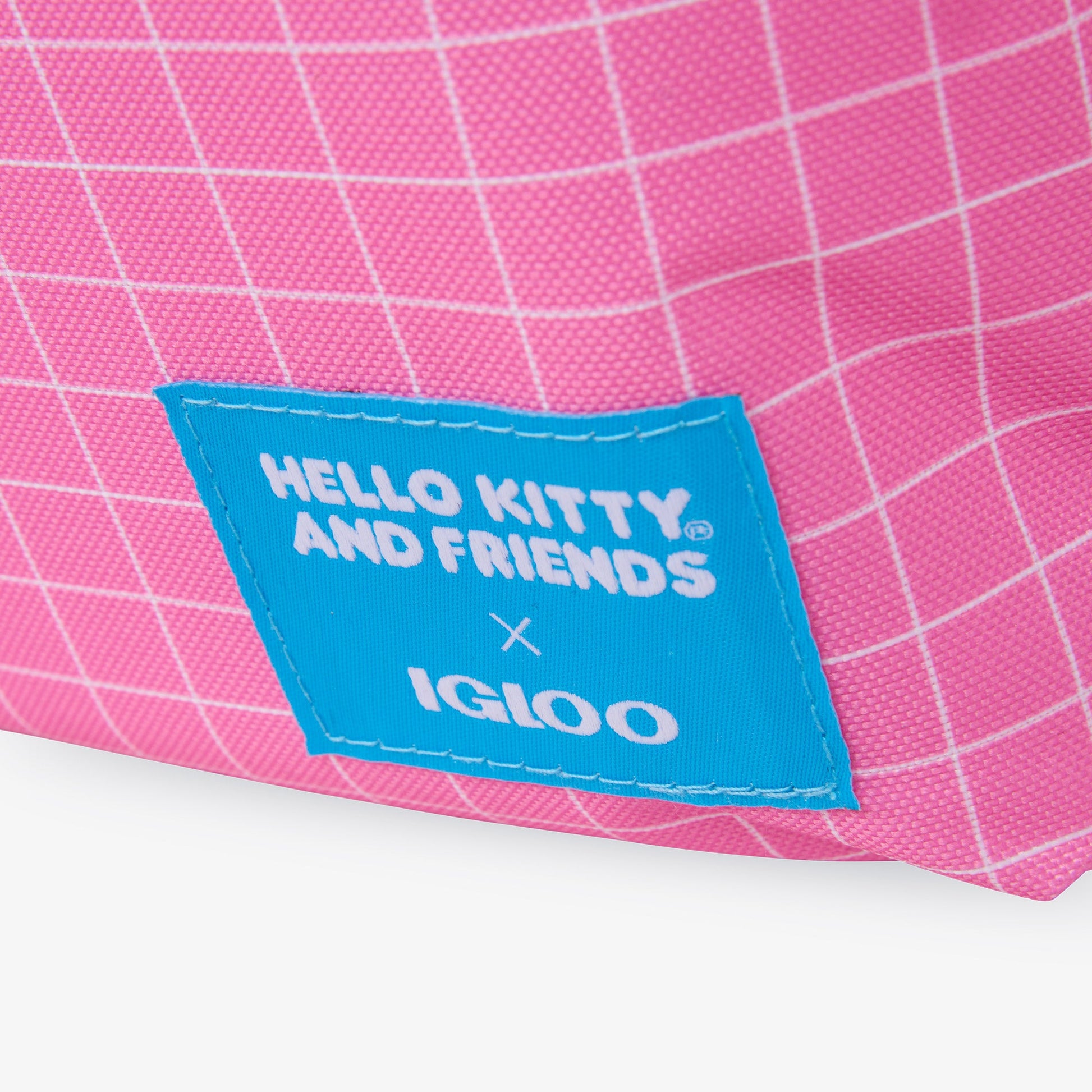 hello-kitty-and-friends-bff-mini-convertible-backpack-cooler-f2 00027591-L.jpg