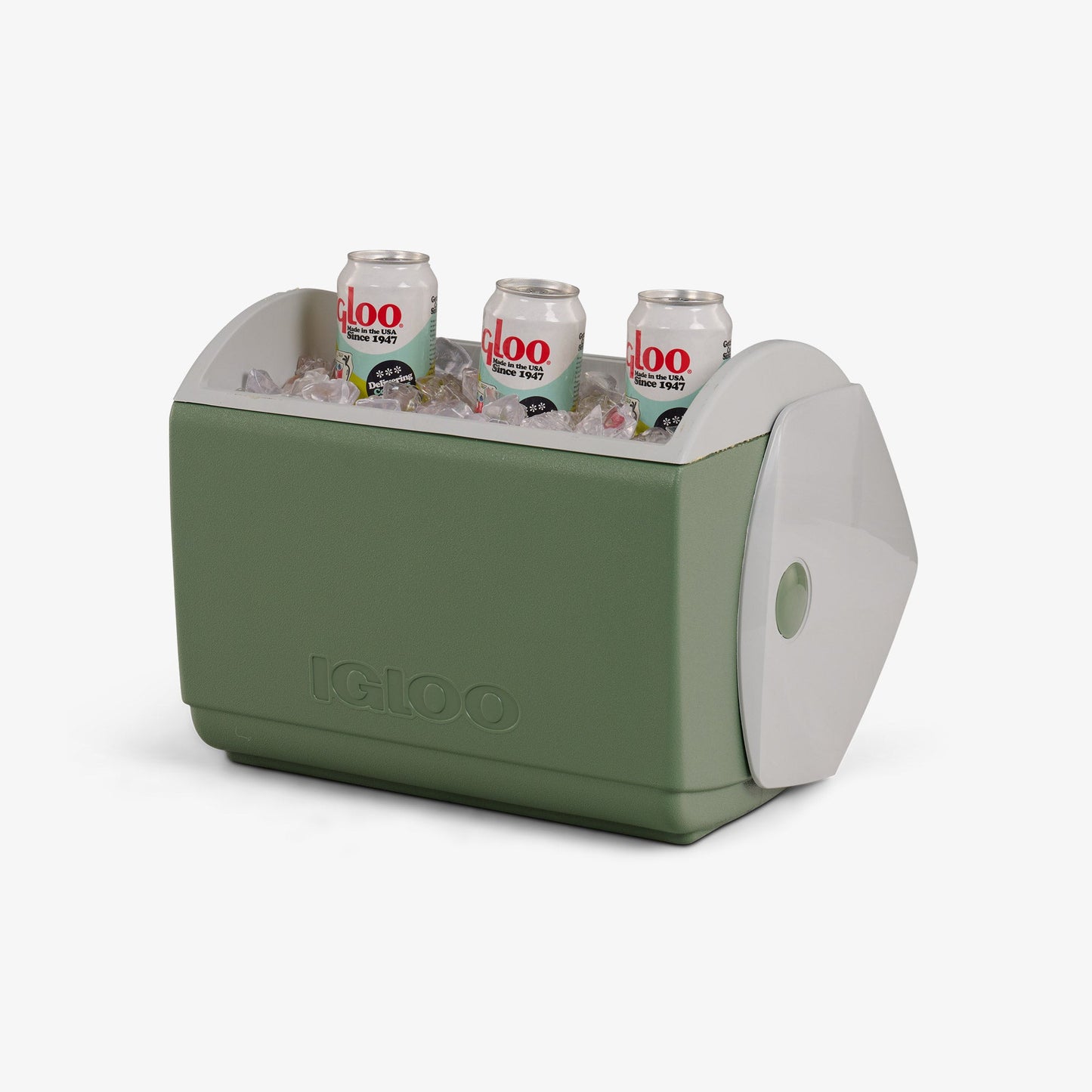 peanuts-take-care-of-the-earth-ecocool-playmate-elite-16-qt-cooler-s2 00027698-P1.jpg