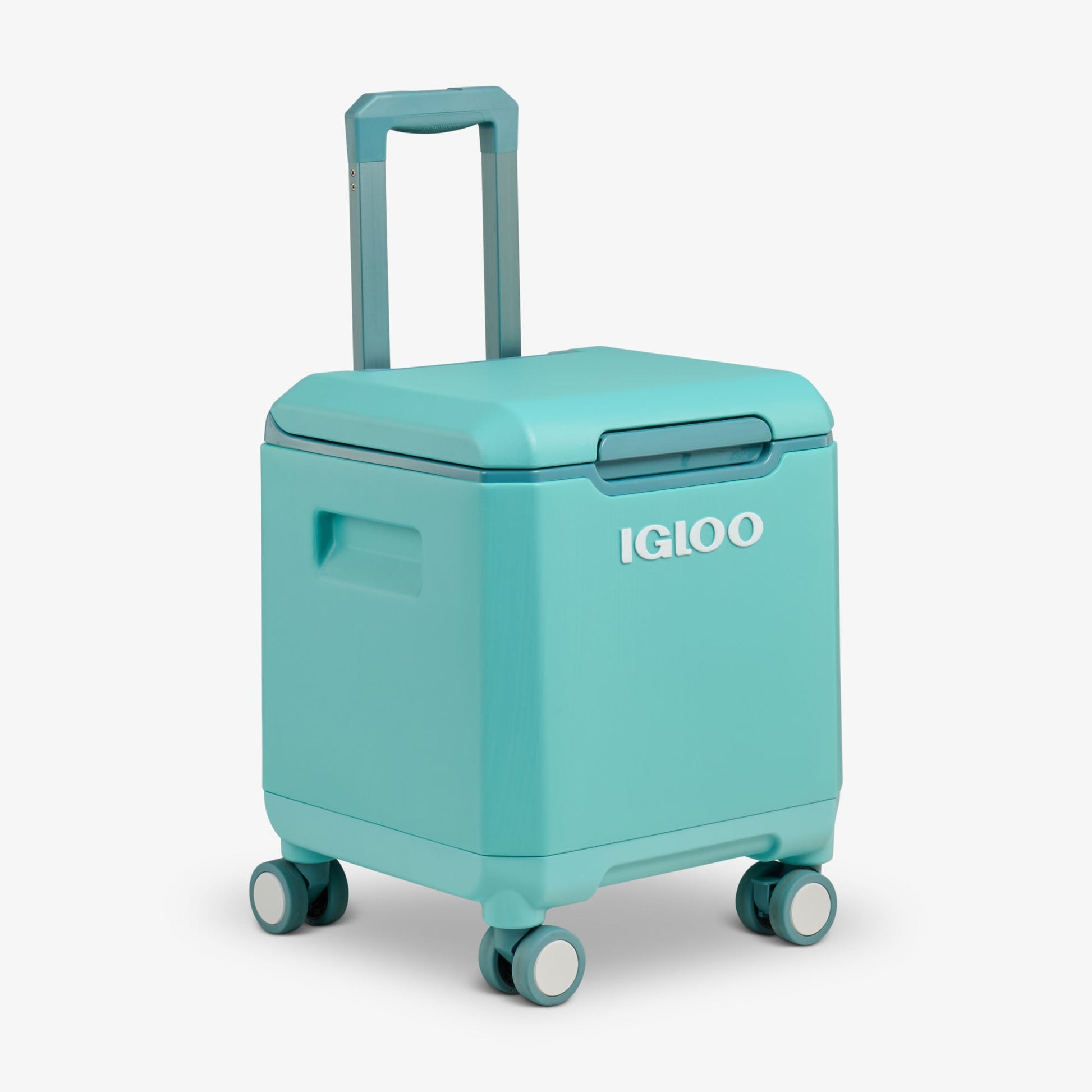 tag-along-too-spinner-cooler-q9 00033184-H2_8ed4db4a-bad7-4643-895e-0c32d8b89266.jpg