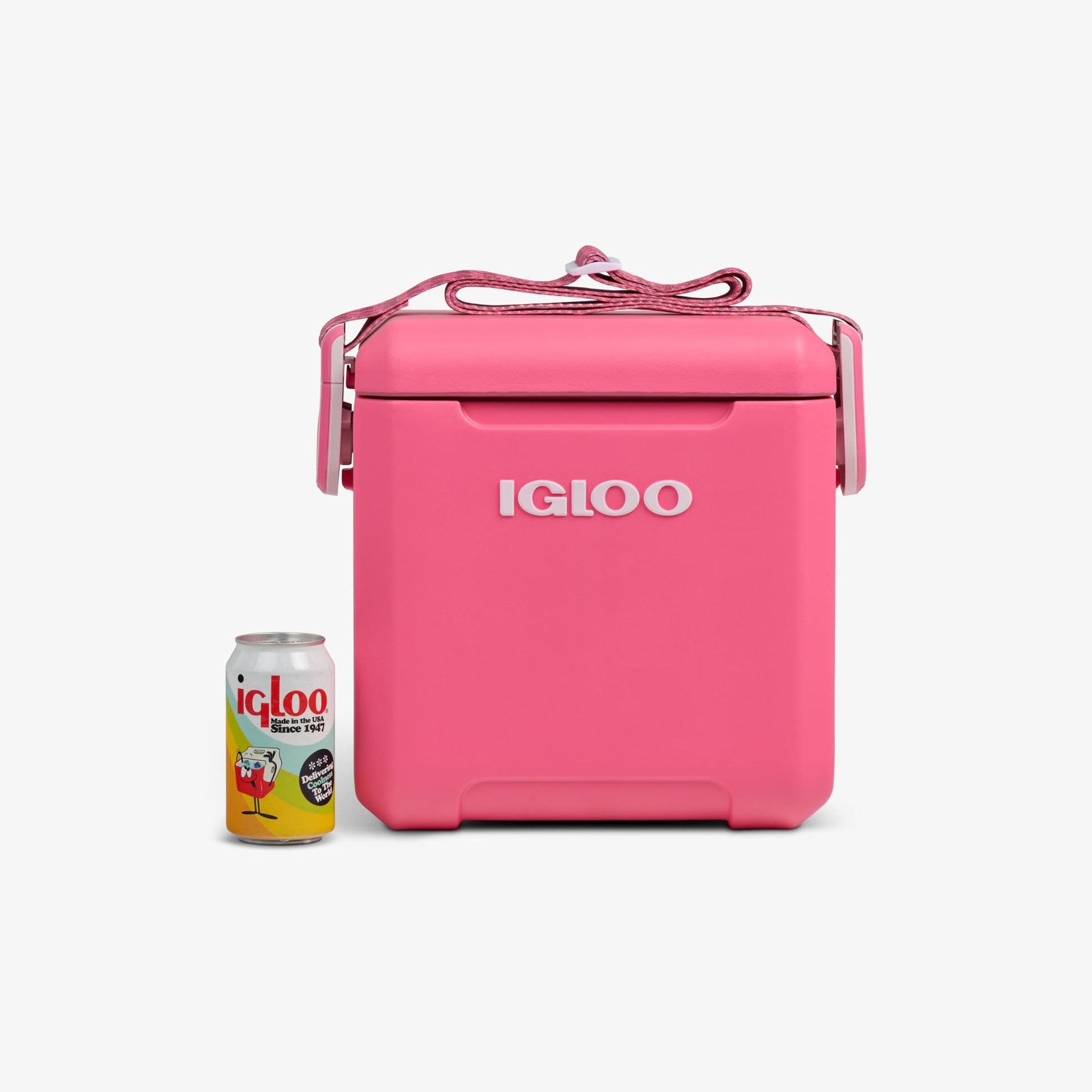 tag-along-too-remix-cooler-m0 00033199-P_861a5cd2-f15c-4217-a471-e33cc3890d9e.jpg