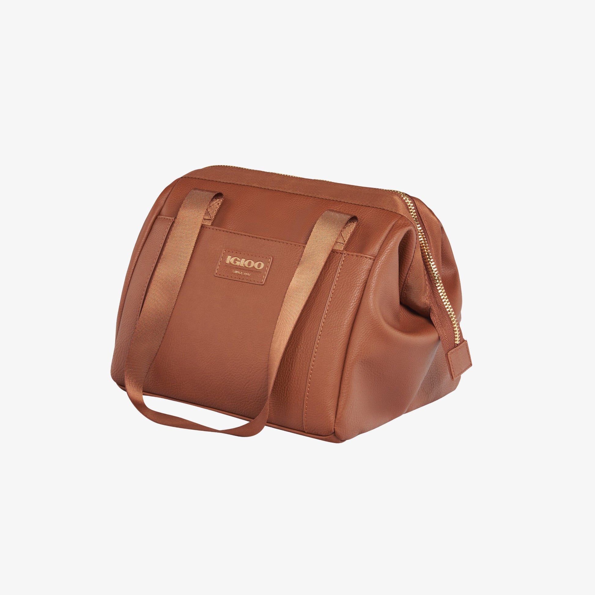 igloo-luxe-lunch-tote-cooler-bag-c7 00061160_2.jpg