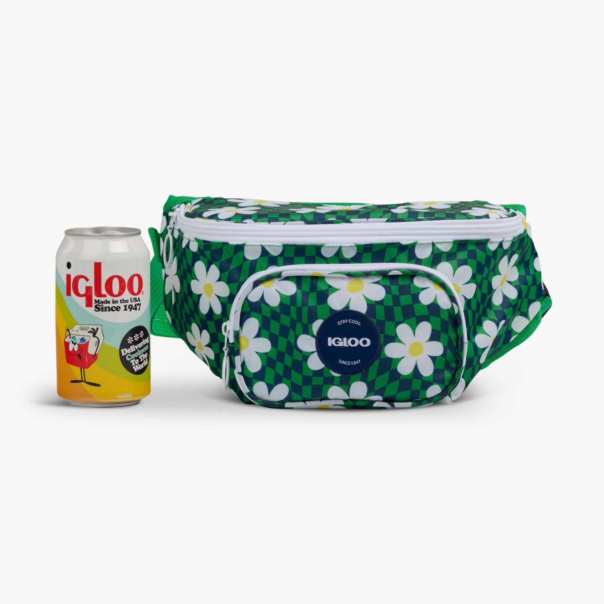 retro-fanny-pack-r3 00067206-P.jpg