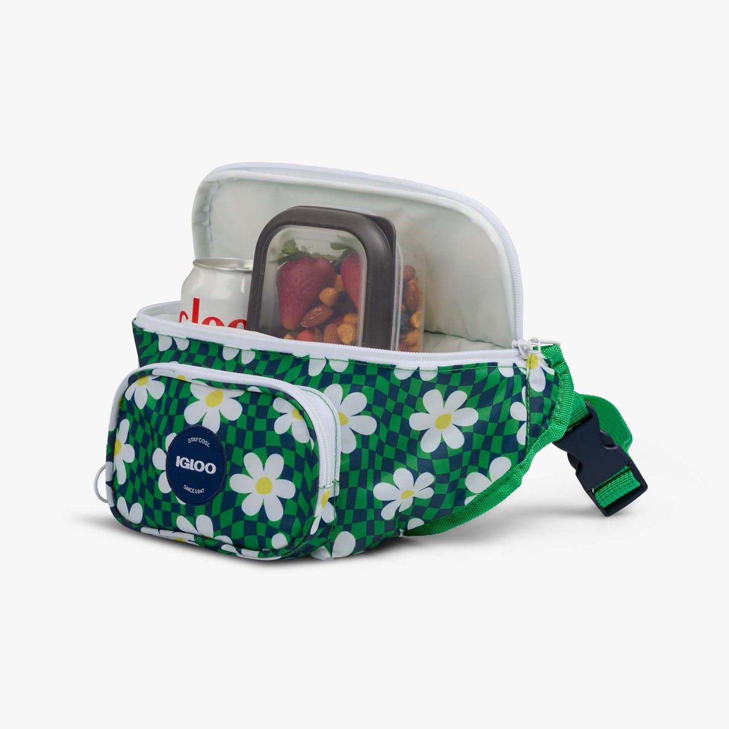 retro-fanny-pack-r3 00067206-P1.jpg