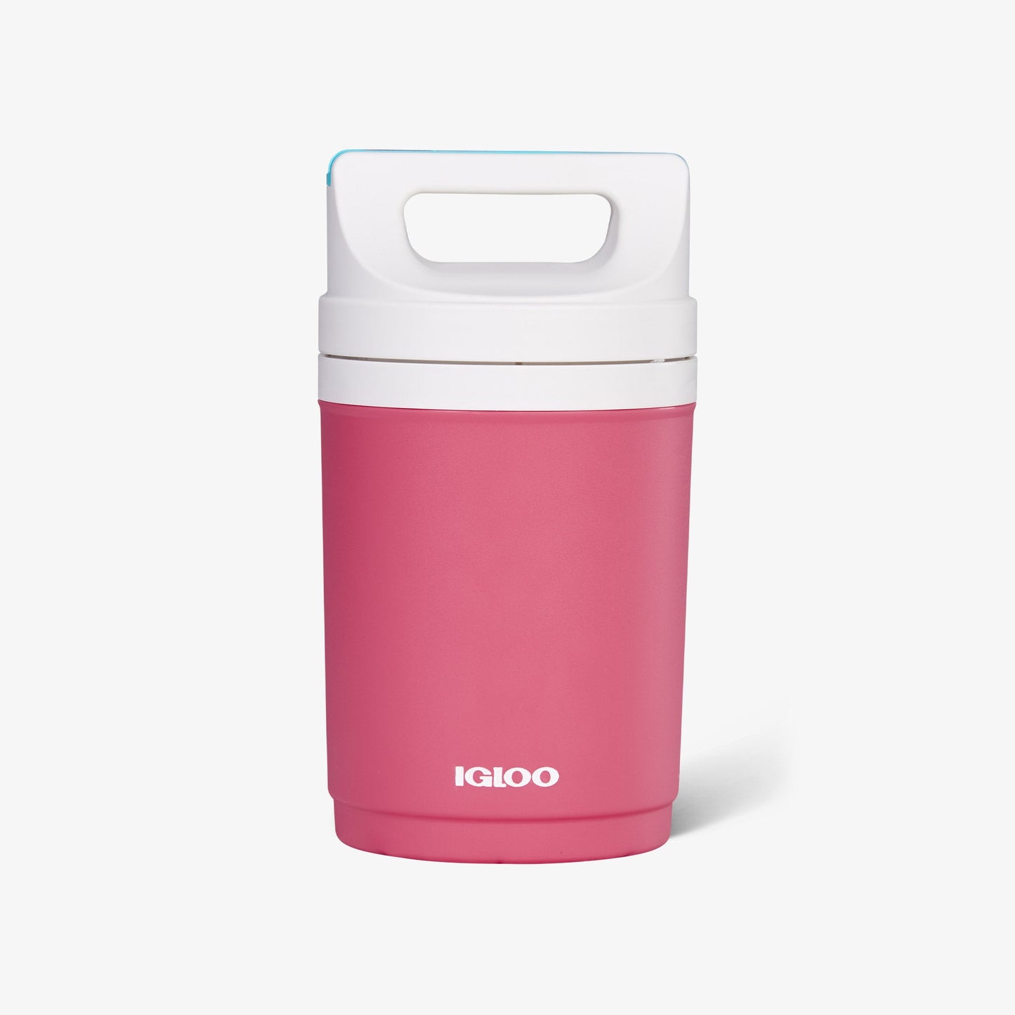 retro-playmate-half-gallon-jug-e9 00070862-F.jpg